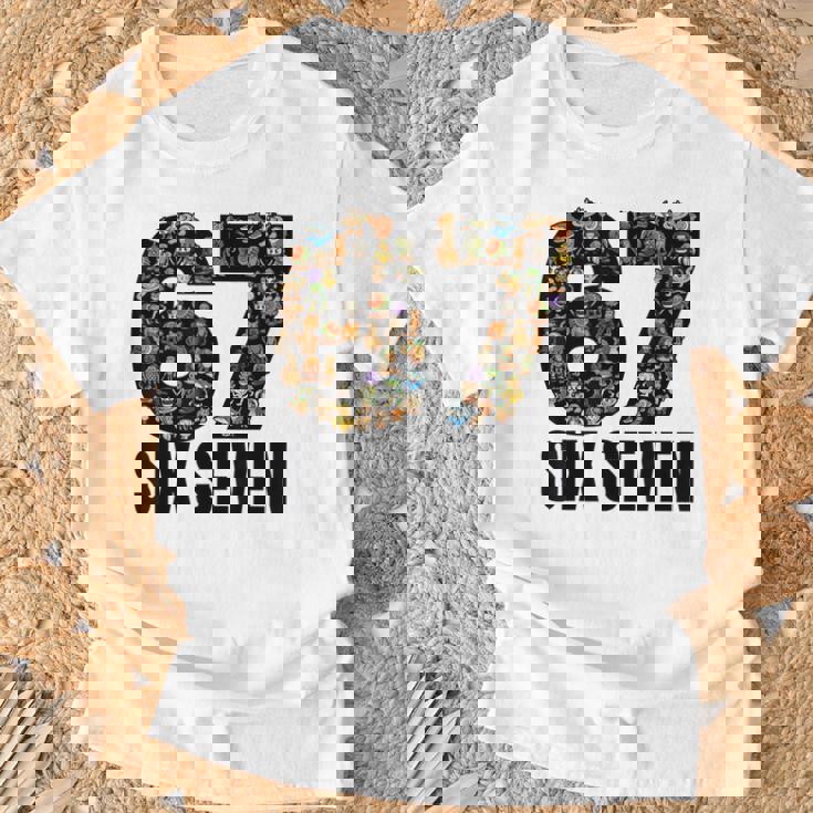 67 シックスセブン イタリアンブレインロットジェネレーションアルファスラングミーム Tシャツ 高齢者への贈り物