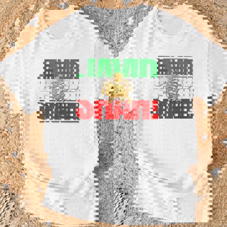 Javidhah イラン国旗 ペルシャパフラヴィー ライオンと太陽 Tシャツ 高齢者への贈り物