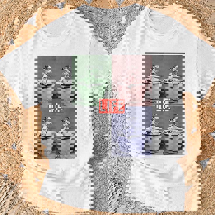 Life Picture Collection 猫（1） Tシャツ 高齢者への贈り物