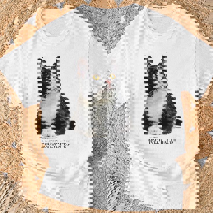 Mischief In Fur 猫写真 ハチワレ猫 黒白猫 猫好き ネタ 猫しもべ 猫飼い 猫依存症 長袖tシャツ Tシャツ 高齢者への贈り物