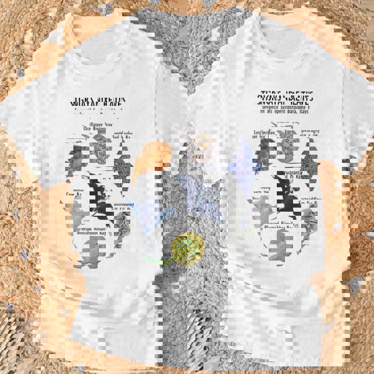 アカエイ種 Tシャツ 高齢者への贈り物