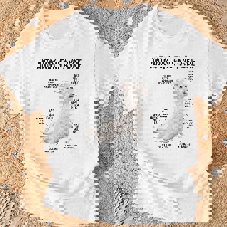 ウエスト・ハイランド・ホワイト・テリア犬の子犬ウェスティの解剖学 Tシャツ 高齢者への贈り物