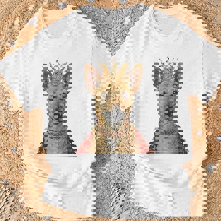 カロライナ・ドッグ Tシャツ 高齢者への贈り物