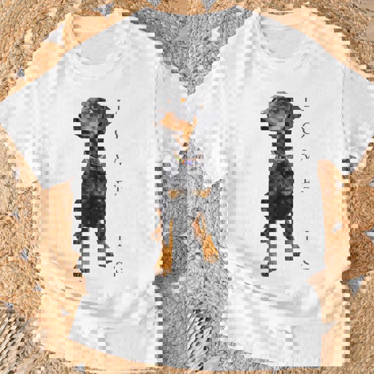 ドーベルマン シャツ ドーベルマン ピンシャー 犬 ママ お父さん 愛 ペット 子犬 Tシャツ 高齢者への贈り物