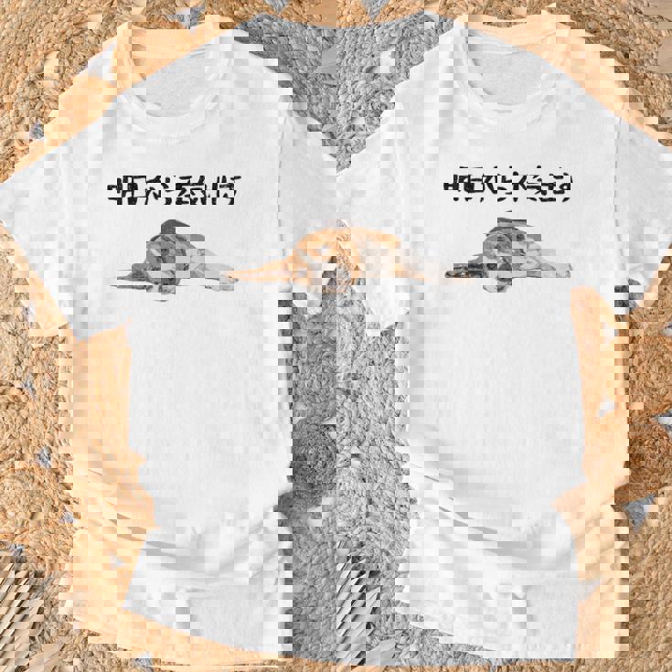 明日から本気出す ・ビーグルス ビーグル犬 面白い ビーグル愛好家に ビーグルののんびりデザイン Tシャツ 高齢者への贈り物