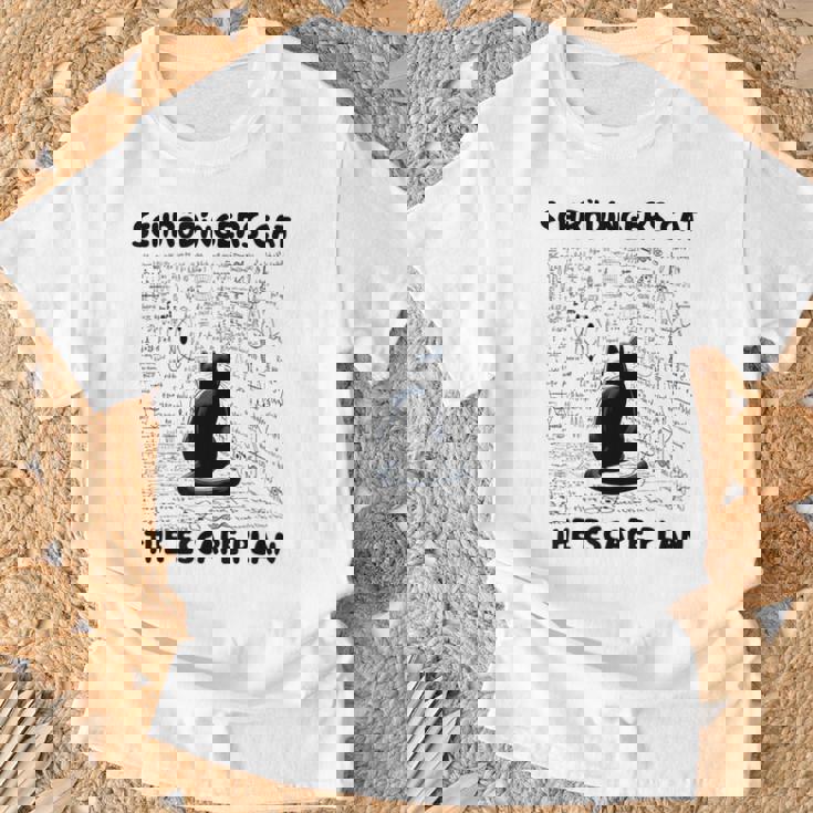 量子物理学教師シュレーディンガーの猫 脱出計画 Tシャツ 高齢者への贈り物