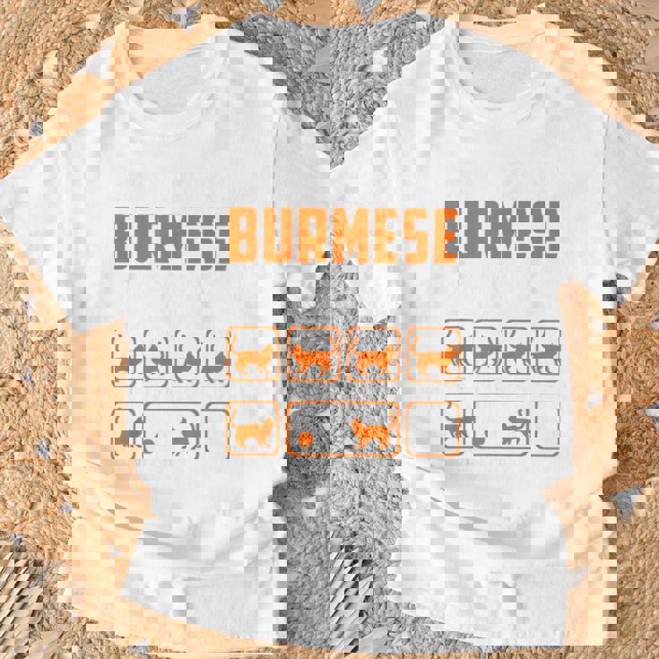 頑固なビルマの猫 トリックおもしろ子猫愛好家 Tシャツ 高齢者への贈り物