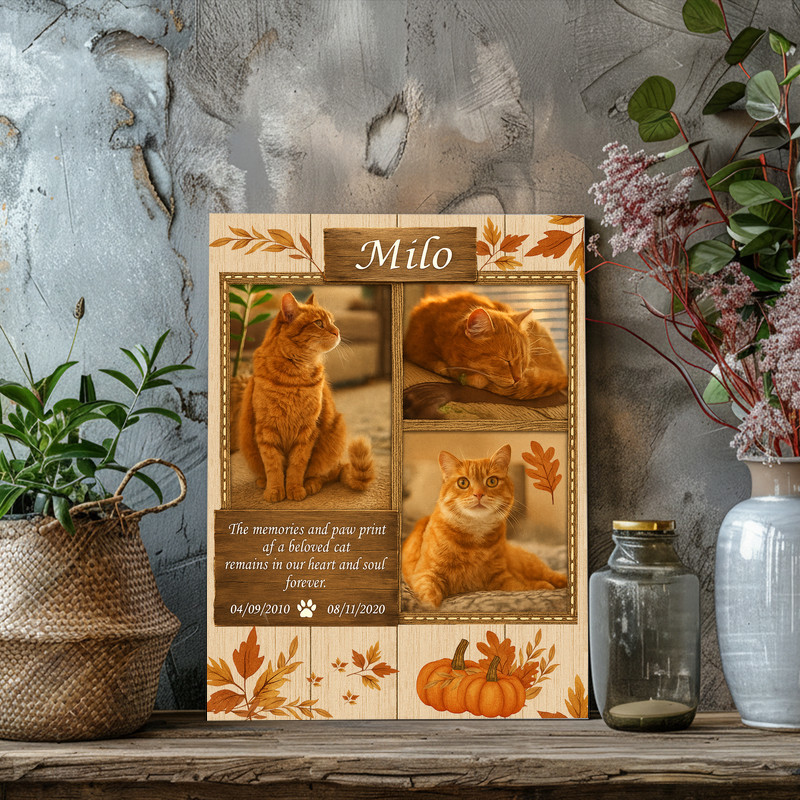 Cat memorial photo collage canvas in farmhouse style, fall accents; customize with your cat’s photos, name, and message