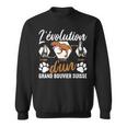 L'évolution D'un Grand Bouvieruisse Sweater e