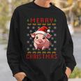 Pig Christmas Ugly Sweater Santa Hat Pig Lover Xmas Sweatshirt Gifts for Him