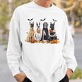 Cute Great Dane Dogs Ghost Witch Mummy Halloween Pumpkins Sweatshirt Gifts for Him