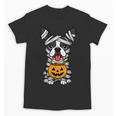 Halloween Dog Boston Terrier Mummy Costume Men Women Kids Unisex T-Shirt, Boston Terrier Halloween Gifts, trending gift