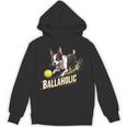 Ballaholic Boston Terrier Dog Chasing Bostie Ball Unisex Hoodie, trending gift