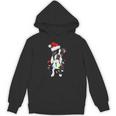 Boston Terrier Santa Christmas Lights Xmas Dog Lover Men Women Kids Unisex Hoodie, Boston Terrier Christmas Gifts, trending gift