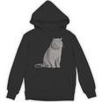 ブリティッシュショートヘアの猫 長袖tシャツ パーカー