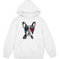 Boston Terrier Dog 4th July America USA Flag Men Women Kids Unisex Hoodie, Boston Terrier 4th Of July Gifts, trending gift