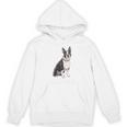 Boston Terrier Dog Dad Boston Terrier Dog Lovers Unisex Hoodie, Couple Gifts, Boston Terrier Dad Gifts, trending gift