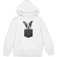 Boston Terrier Dog Puppy Dog In Pocket Cute Pet Lover Unisex Hoodie, trending gift