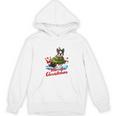 Boston Terrier Merry Christmas Tree Lights Dog X-Mas Dogs Unisex Hoodie, Boston Terrier Christmas Gifts, trending gift