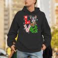Boston Terrier Christmas Tree Lights Santa Dog Xmas For Men Women Kids Unisex Hoodie, Boston Terrier Christmas Hoodies, funny gift