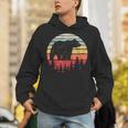 Catch Some Rays Vintage Retro Grizzly Bear Unisex Hoodie, funny gift