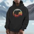 Catch Some Rays Vintage Retro Grizzly Bear Unisex Hoodie, novelty gifts, funny gifts