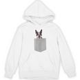 Dog In Your Pocket Boston Terrier For Men Women Girls Kids Women's Hoodie, novelty gifts, funny gifts