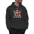 Boston Terrier Christmas Dogs Santa Reindeer Elf Men Hoodie, Boston Terrier Christmas Gifts, trending gift
