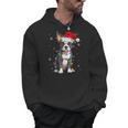Boston Terrier Christmas Santa Hat Tree Lights Pajama Men Hoodie, Boston Terrier Christmas Gifts, trending gift