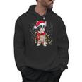 Boston Terrier Dog Ugly Christmas Dog Xmas For Men Women Kids Men Hoodie, Boston Terrier Christmas Gifts, trending gift