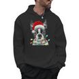 Boston Terrier Santa Christmas Tree Lights Xmas Boys Men Dog Men Hoodie, Boston Terrier Christmas Gifts, trending gift