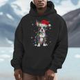 Boston Terrier Christmas Santa Hat Tree Lights Pajama Men Hoodie, Boston Terrier Christmas Gifts, funny design