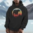 Catch Some Rays Vintage Retro Grizzly Bear Men Hoodie, funny design
