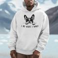 Boston Terrier Dog Owner I Do What I Want Pet Men Hoodie, funny design