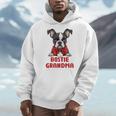 Boston Terrier Grandma Dog Lovers Puppy Bostie Owner Men Hoodie, funny design