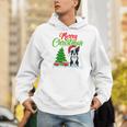 Boston Terrier Christmas Tree Lights Xmas Dog Lover Men Hoodie, Boston Terrier Christmas Hoodies, funny gift