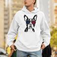 Boston Terrier Dog 4th July America USA Flag Men Women Kids Men Hoodie, Boston Terrier 4th Of July Hoodies, funny gift