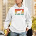 Boston Terrier Dog Lover Retro Vintage Cool For Dog Owner Men Hoodie, funny gift
