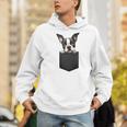 Boston Terrier Dog Puppy Dog In Pocket Cute Pet Lover Men Hoodie, funny gift
