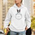 Boston Terrier In The Pocket Cute Boston Terrier Dog Lovers Men Women Girls Kids Men Hoodie, funny gift