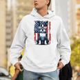 Vintage Boston Terrier Dog American US USA Flag Pets Dogs Men Hoodie, American Boston Terrier Hoodies, funny gift