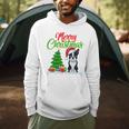 Boston Terrier Christmas Tree Lights Xmas Dog Lover Men Hoodie, novelty gifts, funny gifts