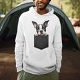 Boston Terrier Dog Puppy Dog In Pocket Cute Pet Lover Men Hoodie, novelty gifts, funny gifts