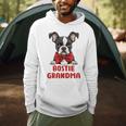 Boston Terrier Grandma Dog Lovers Puppy Bostie Owner Men Hoodie, novelty gifts, funny gifts