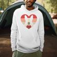 Retro Heart Boston Terrier Dog Vintage Valentine Men Hoodie, novelty gifts, funny gifts