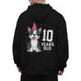 10 Years Old Birthday Boston Terrier Dog Lover 10th Party For Men Women Kids Men's Hoodie Back Print, trending gift