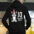 10 Years Old Birthday Boston Terrier Dog Lover 10th Party For Men Women Kids Men's Hoodie Back Print, funny gift