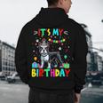 My Birthday Colorful Costume Boston Terrier Party Men's Hoodie Back Print, novelty gifts, funny gifts