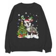 Boston Terrier Christmas Tree Lights Santa Hat Unisex Sweatshirt, Boston Terrier Christmas Gifts, trending gift