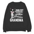 Coolest Boston Terrier Grandma Dog Unisex Sweatshirt, trending gift